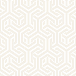 Interlaced Hexagonal Pattern vector image