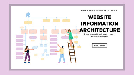 structure website information architecture vector image
