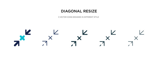 Diagonal resize icon in different style two vector