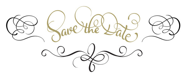 save the date text in frame on white background vector image