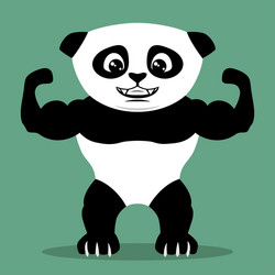 strong panda bear vector