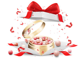 Colorful blush balls in round black case inside Vector Image