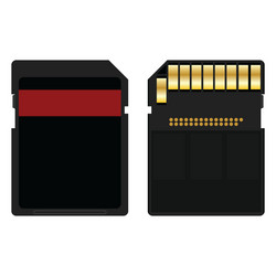 secure digital memory card vector image