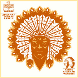 Hand drawn native american indian headdress Vector Image