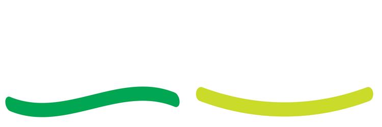 rectangle banner plaque button shape with distort vector image