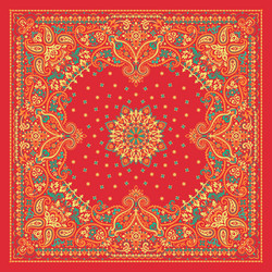 paisley bandana print Vector Image