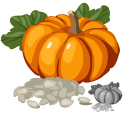 Pumpkin seeds icon Royalty Free Vector Image - VectorStock