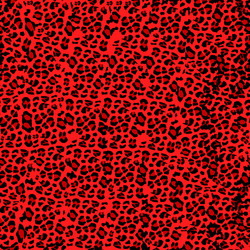 Leopard Print Seamless Pattern vector image