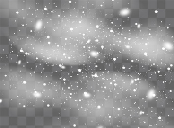 snowfall snowflakes in different shapes and forms vector image