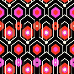 geometric pattern with hexagons vector image