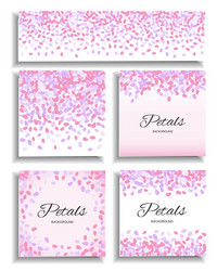 pink flying petals background vector