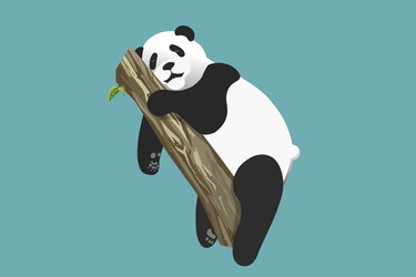 Portrait Panda Bear Wild Animal Realistic Stock Illustration 603128978