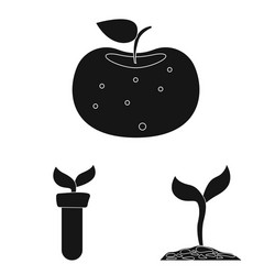 isolated object of and sign set s vector image