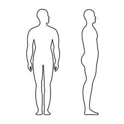 Human Body Side View Vector Images (over 2,100)