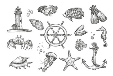 hand drawing nautical elements collection vector