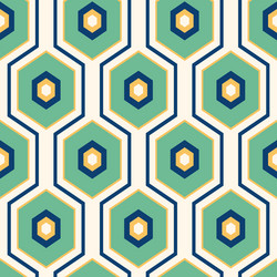 geometric pattern with hexagons vector image