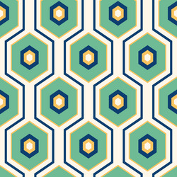 geometric pattern with hexagons vector