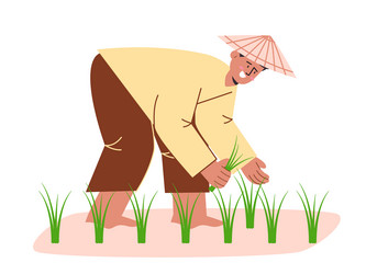planting paddy rice plant farmer traditional Vector Image