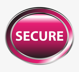 secure button vector image