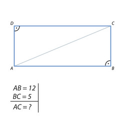 task of finding a diagonal rectangle vector image