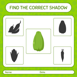 find the correct shadows game with chayote vector image