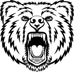 Aggressive Bear Head Vector Image