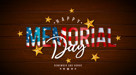 memorial day of the usa banner Vector Image