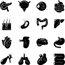Internal human organs icons set cartoon style Vector Image