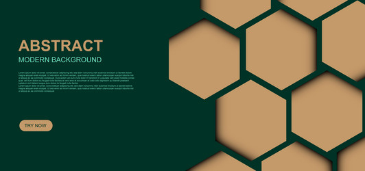 hexagonal with shadow on background vector image