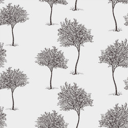 seamless pattern of small deciduous trees sketches vector image