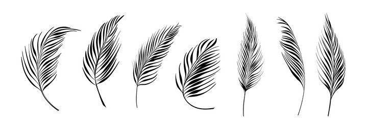 set different palm branch on white background vector