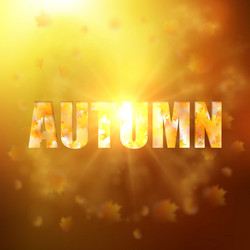 autumn background with gold maple leaves vector