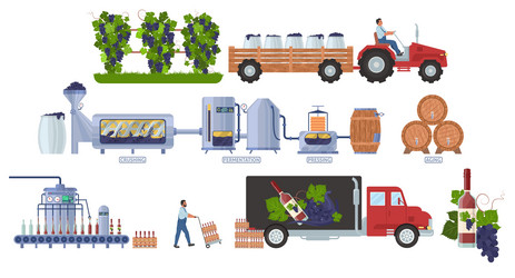 Wine production manufacturing process infographic vector