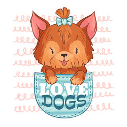 cute pocket dog love dogs little puppy Vector Image