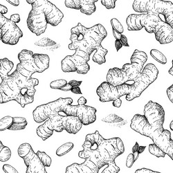 Ginger Root Seamless Pattern vector image