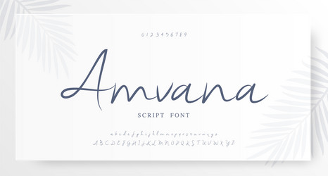 Elegant Script Font - Lettering & Numbers vector image