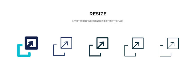resize icon in different style two colored vector image