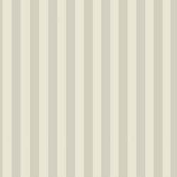 Strip seamless pattern vector