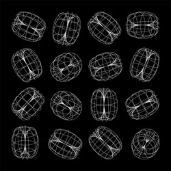 wireframe lined shapes perspective mesh 3d grid vector image