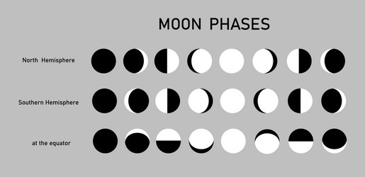 consistent change of the visible moon in sky vector image