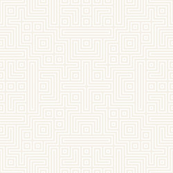 Symmetrical Lattice Pattern vector image