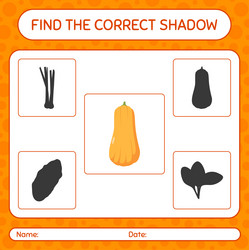 find the correct shadows game with squash vector image