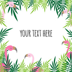 Tropical Flamingo Summer Banner Vector Image
