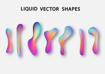 Fluid shape layout isolated template set colorful vector