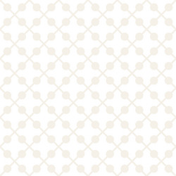 abstract geometric lines lattice pattern seamless vector image