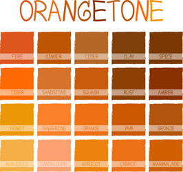 Orangetone Color Palette vector image