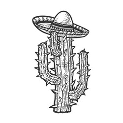 sombrero on a cactus sketch vector