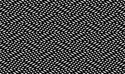 rectangular format net trellis web pattern vector image