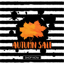 Autumn sale vector