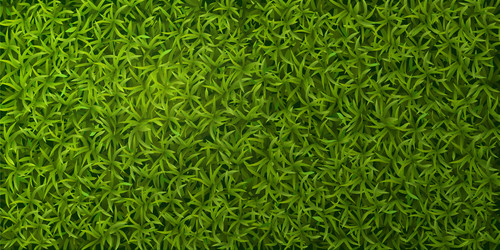 Green grass seamless pattern 1 Royalty Free Vector Image